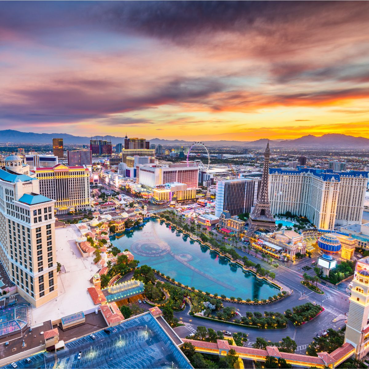 Book your hotel at the lowest rates